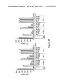 ANTIBODIES AGAINST HGF - RECEPTOR AND USES diagram and image