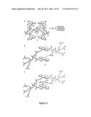 ANTHRACENYL-TETRALACTAM MACROCYCLES AND THEIR USE IN DETECTING A TARGET     SACCHARIDE diagram and image