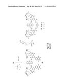 ANTHRACENYL-TETRALACTAM MACROCYCLES AND THEIR USE IN DETECTING A TARGET     SACCHARIDE diagram and image