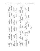 ANTHRACENYL-TETRALACTAM MACROCYCLES AND THEIR USE IN DETECTING A TARGET     SACCHARIDE diagram and image