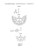 ANTHRACENYL-TETRALACTAM MACROCYCLES AND THEIR USE IN DETECTING A TARGET     SACCHARIDE diagram and image