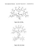 ANTHRACENYL-TETRALACTAM MACROCYCLES AND THEIR USE IN DETECTING A TARGET     SACCHARIDE diagram and image