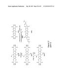 ANTHRACENYL-TETRALACTAM MACROCYCLES AND THEIR USE IN DETECTING A TARGET     SACCHARIDE diagram and image