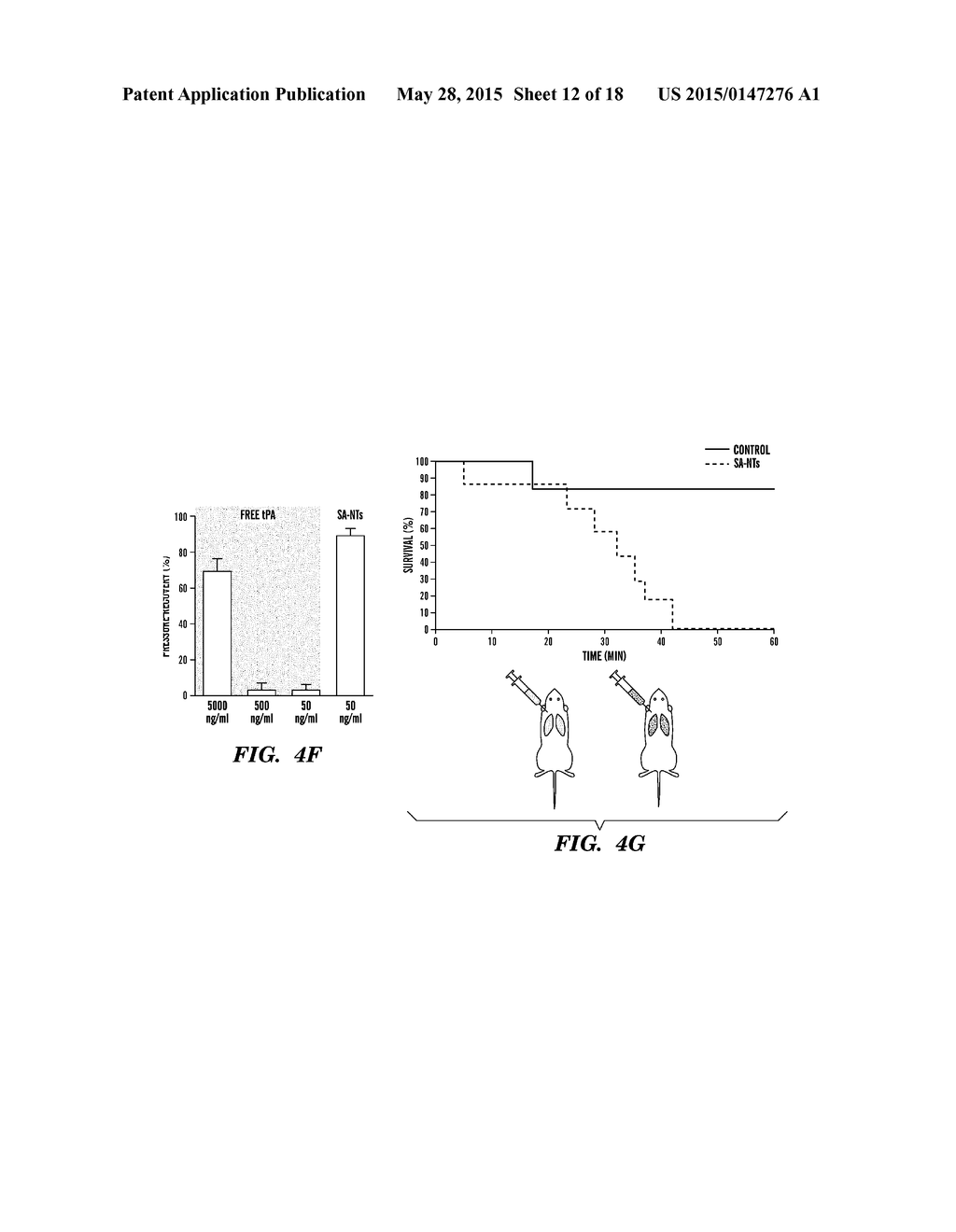 NANOTHERAPEUTICS FOR DRUG TARGETING - diagram, schematic, and image 13