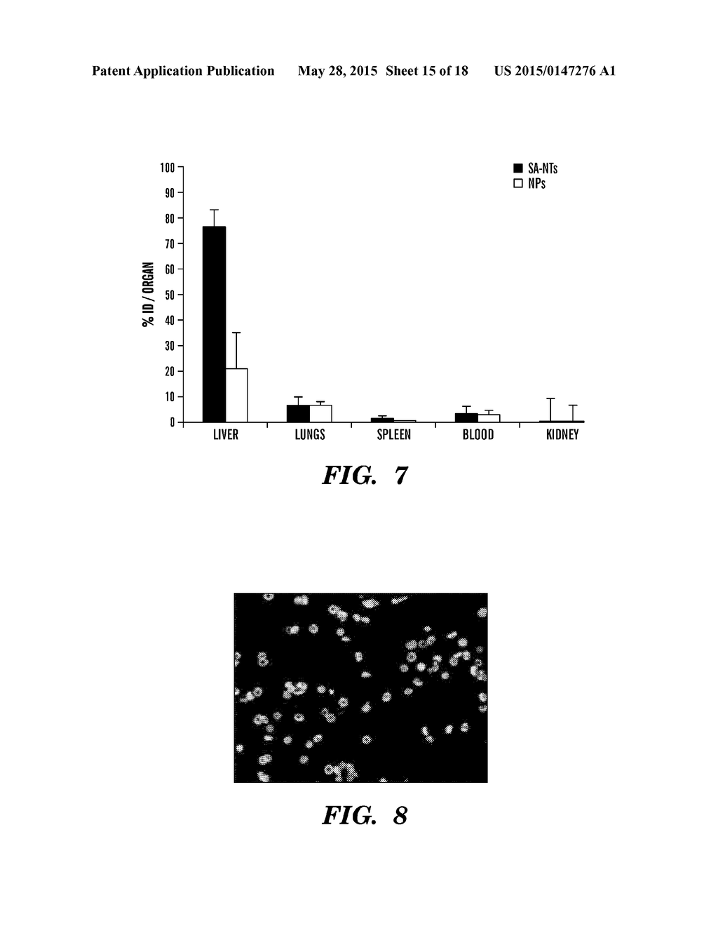 NANOTHERAPEUTICS FOR DRUG TARGETING - diagram, schematic, and image 16