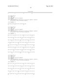 ANTIBODY AGAINST TRANSPORTER AND USE THEREOF diagram and image