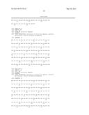 ANTIBODY AGAINST TRANSPORTER AND USE THEREOF diagram and image