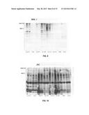 CARIES RISK TEST FOR PREDICTING AND ASSESSING THE RISK OF DISEASE diagram and image