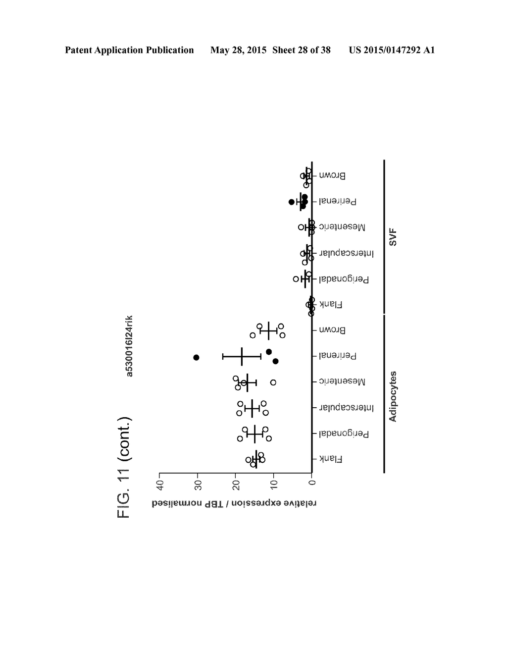 NOVEL SURFACE MARKERS FOR ADIPOSE TISSUE - diagram, schematic, and image 29