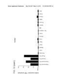 NOVEL SURFACE MARKERS FOR ADIPOSE TISSUE diagram and image