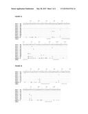 CD33 ANTIBODIES AND USE OF SAME TO TREAT CANCER diagram and image