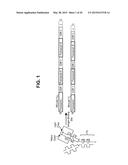 CANINIZED ANTI-NGF ANTIBODIES AND METHODS THEREOF diagram and image