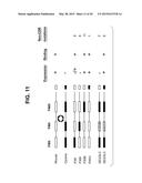 CANINIZED ANTI-NGF ANTIBODIES AND METHODS THEREOF diagram and image