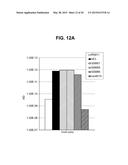 CANINIZED ANTI-NGF ANTIBODIES AND METHODS THEREOF diagram and image