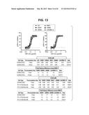 CANINIZED ANTI-NGF ANTIBODIES AND METHODS THEREOF diagram and image