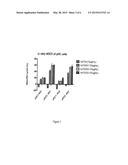 COMPOSITIONS AND METHODS FOR TARGETING TYPE 1 INTERFERON PRODUCING CELLS diagram and image