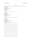 Dual Variable Domain Immunoglobulin and Uses Thereof diagram and image