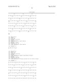 Dual Variable Domain Immunoglobulin and Uses Thereof diagram and image