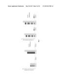 METHOD AND COMPOSITION FOR TREATMENT OF DYSLIPIDEMIA AND OTHER DISEASES diagram and image