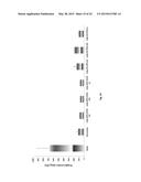 METHOD AND COMPOSITION FOR TREATMENT OF DYSLIPIDEMIA AND OTHER DISEASES diagram and image