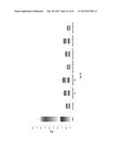 METHOD AND COMPOSITION FOR TREATMENT OF DYSLIPIDEMIA AND OTHER DISEASES diagram and image