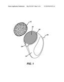 FOAMING POROUS PAD FOR USE WITH A MOTORIZED DEVICE diagram and image