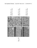 THERMAL BARRIER COATING AND ARTICLE COMPRISING SAME diagram and image