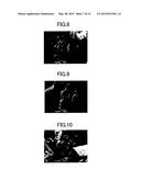 ALUMINA POROUS BODY AND METHOD FOR MANUFACTURING SAME diagram and image