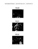 ALUMINA POROUS BODY AND METHOD FOR MANUFACTURING SAME diagram and image