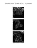 HIGHLY FUNCTIONAL COMPOSITE NANOPARTICLES AND METHOD FOR PRODUCING SAME diagram and image