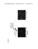 COMPOSITION COMPRISING OF A CONDUCTING POLYMER FOR DETECTING, CAPTURING,     RELEASING, AND COLLECTING CELL diagram and image