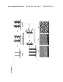 COMPOSITION COMPRISING OF A CONDUCTING POLYMER FOR DETECTING, CAPTURING,     RELEASING, AND COLLECTING CELL diagram and image