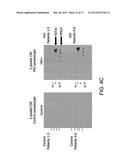 METHOD FOR DETERMINING DISEASE SEVERITY IN TAUOPATHY-RELATED     NEURODEGENERATIVE DISORDERS diagram and image