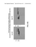 METHOD FOR DETERMINING DISEASE SEVERITY IN TAUOPATHY-RELATED     NEURODEGENERATIVE DISORDERS diagram and image