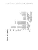 BAG3 AS BIOCHEMICAL SERUM AND TISSUE MARKER diagram and image