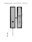 MASS SPECTROMETRY ANALYSIS OF MICROORGANISMS IN SAMPLES diagram and image