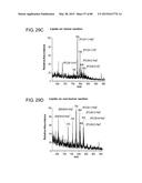 MASS SPECTROMETRY ANALYSIS OF MICROORGANISMS IN SAMPLES diagram and image