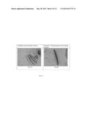 Clearing Agent and Mounting Medium for Microscopy diagram and image