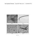 Clearing Agent and Mounting Medium for Microscopy diagram and image