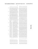 Recombinant Non-Animal Cell for Making Biliverdin diagram and image