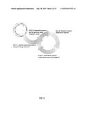 METHANE-TO-ACETATE PATHWAY FOR PRODUCING LIQUID BIOFUELS AND BIORENEWABLES diagram and image