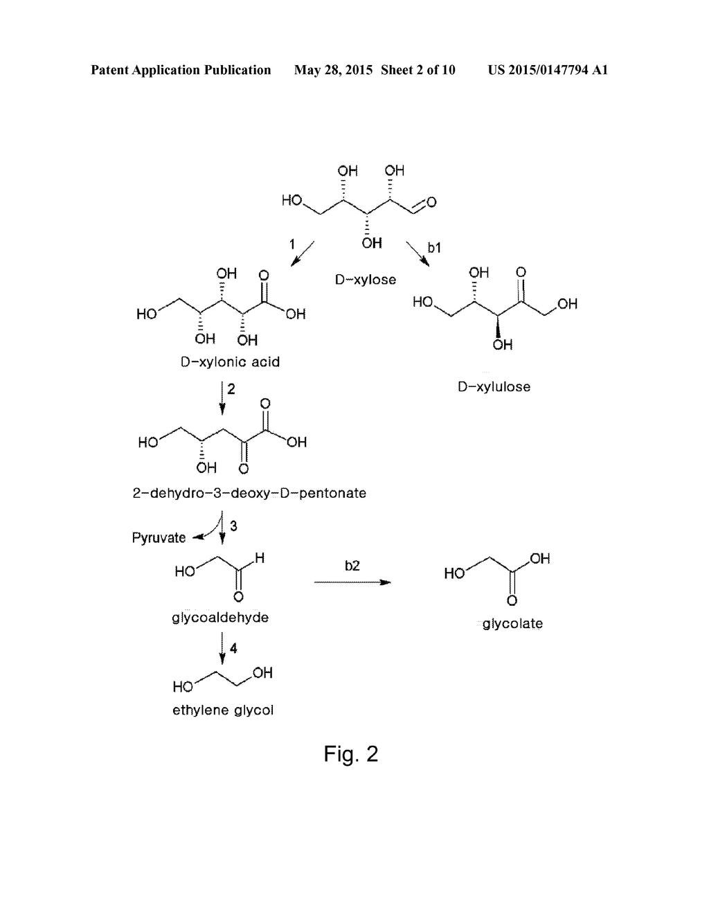 ETHANE-1,2-DIOL PRODUCING MICROORGANISM AND A METHOD FOR PRODUCING     ETHANE-1,2-DIOL FROM D-XYLOSE USING THE SAME - diagram, schematic, and image 03