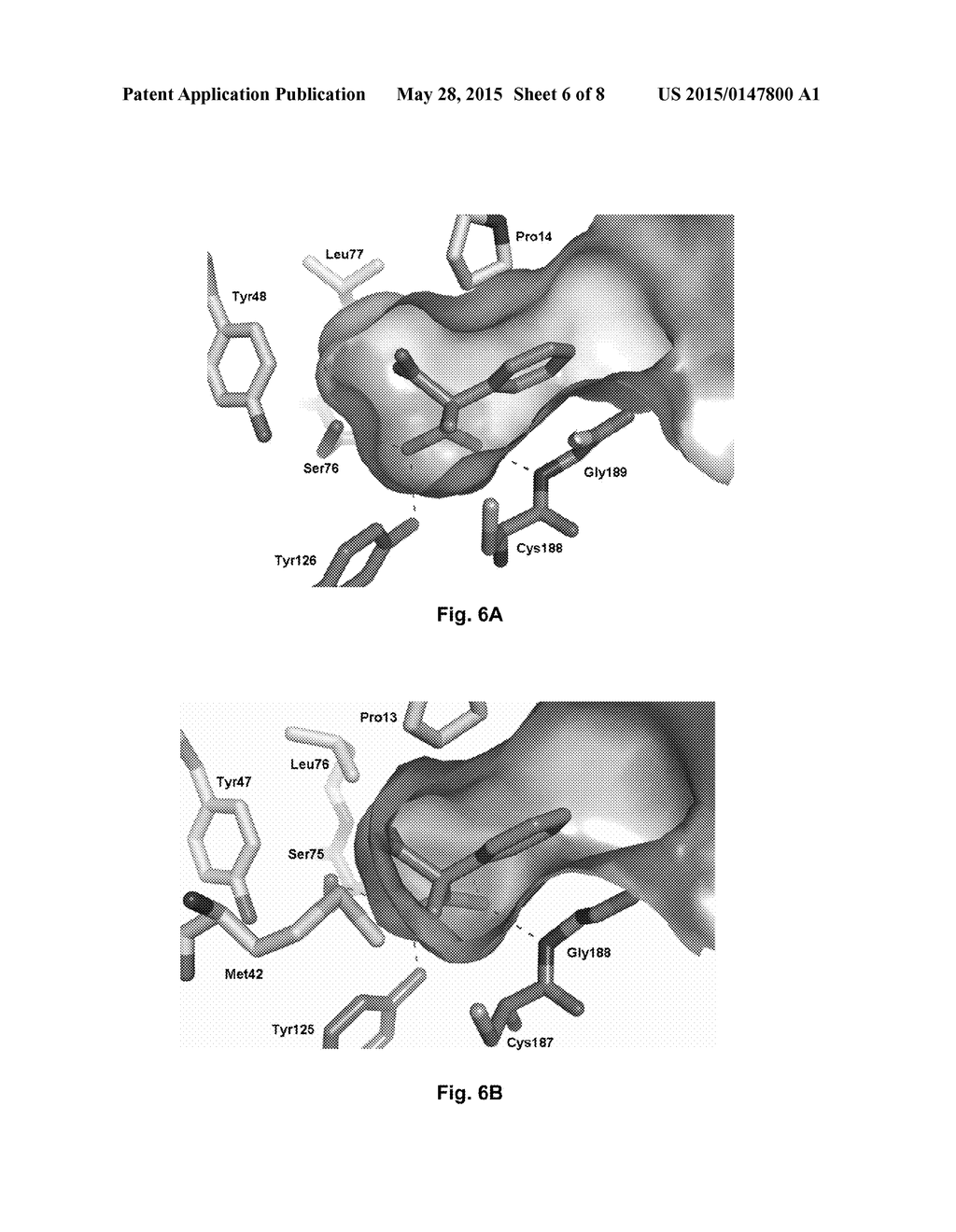 MALONATE DECARBOXYLASES FOR INDUSTRIAL APPLICATIONS - diagram, schematic, and image 07