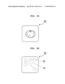 IDENTIFICATION APPARATUS diagram and image