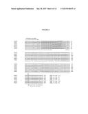 HERBICIDE-RESISTANT SUNFLOWER PLANTS WITH MULTIPLE HERBICIDE RESISTANT     ALLELES OF AHASL1 AND METHODS OF USE diagram and image