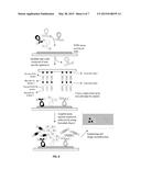 SPATIAL MOLECULAR BARCODING OF IN SITU NUCLEIC ACIDS diagram and image
