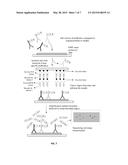 SPATIAL MOLECULAR BARCODING OF IN SITU NUCLEIC ACIDS diagram and image