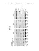 METHODS FOR DETERMINING RESPONSIVENESS TO A DIHYDROFOLATE REDUCTASE     INHIBITOR diagram and image