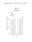 METHODS FOR DETERMINING RESPONSIVENESS TO A DIHYDROFOLATE REDUCTASE     INHIBITOR diagram and image