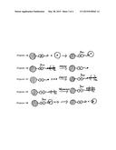 MICROPARTICLE ASSEMBLY diagram and image